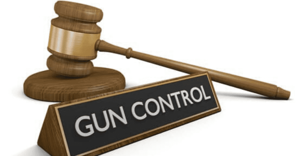 Gun control research paper