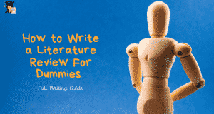 how to write a literature review for dummies